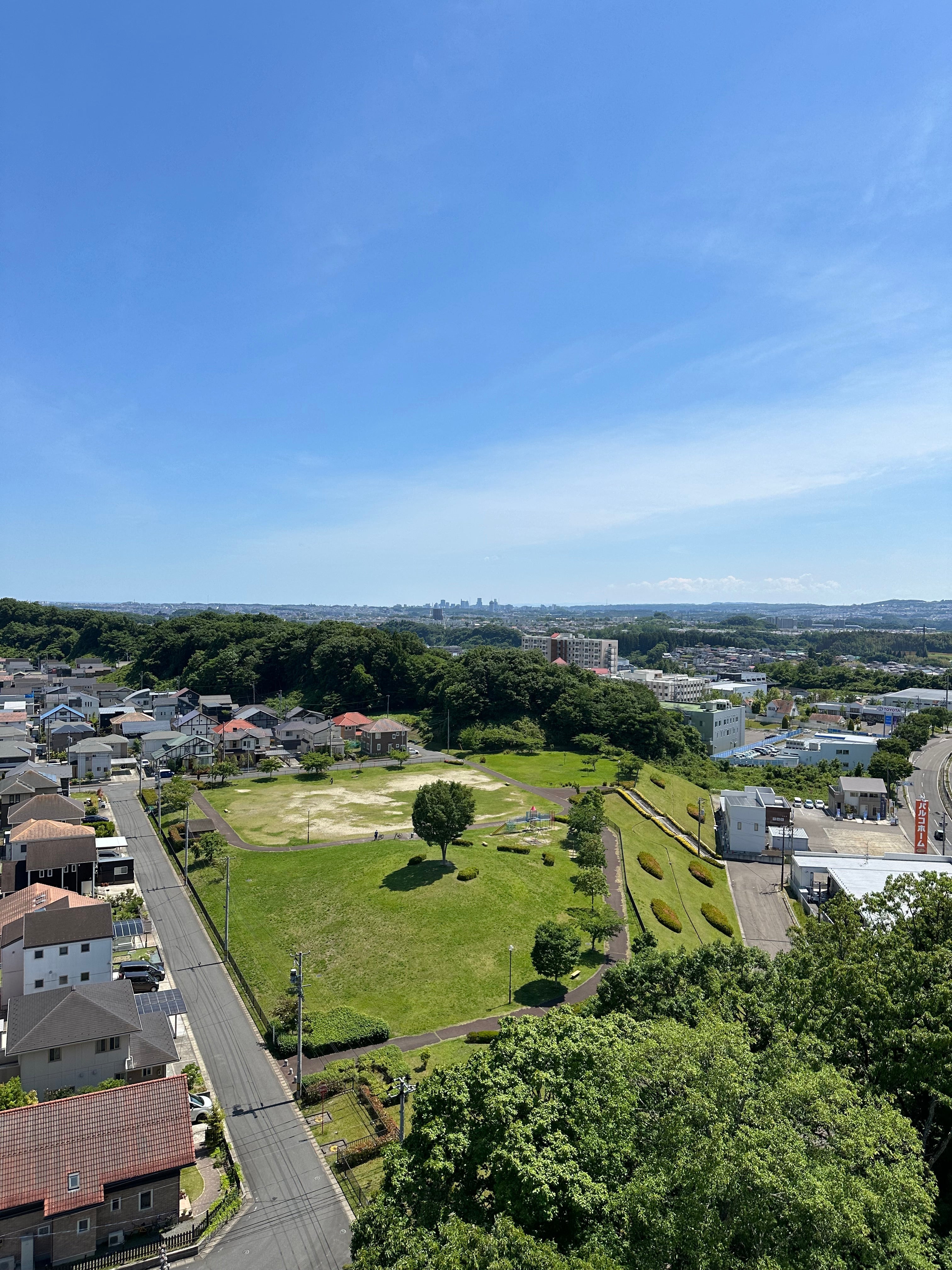 by 富谷市ブルーベリー生産組合