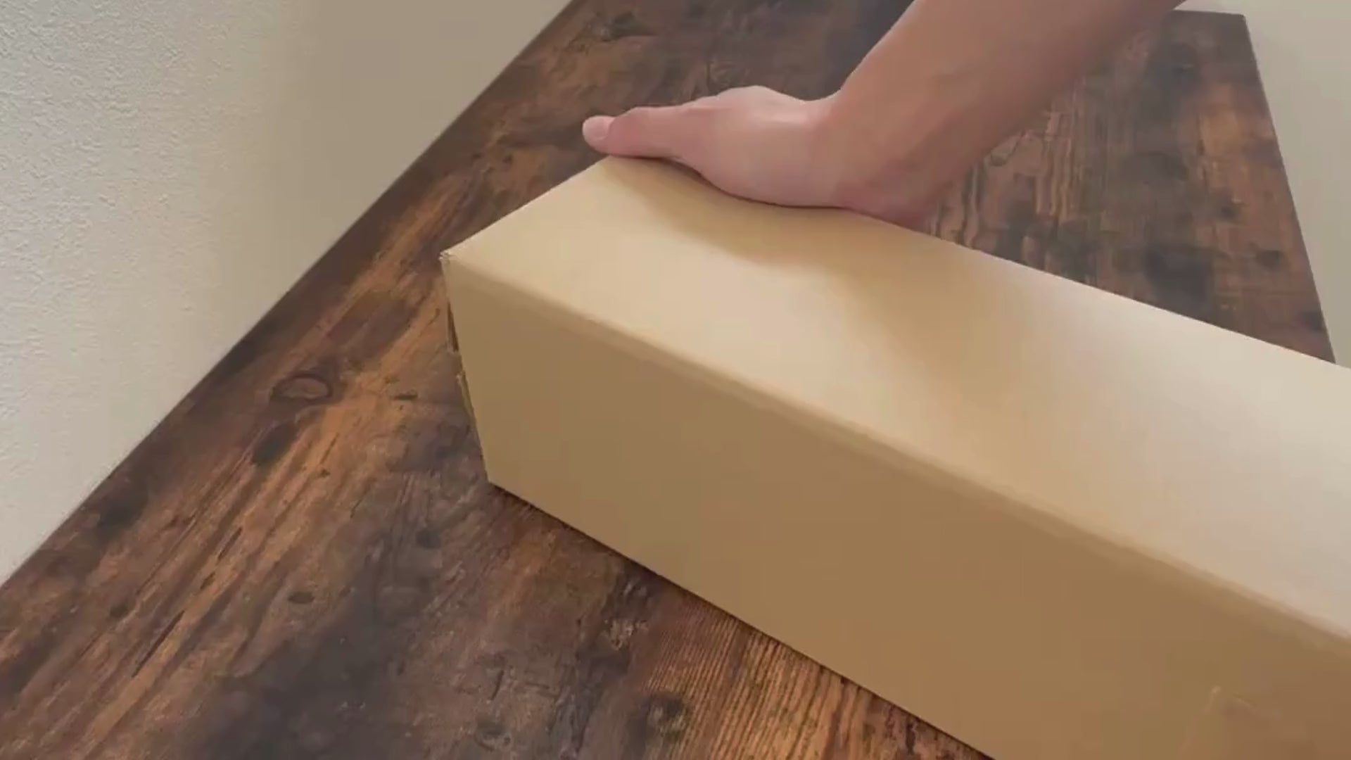 富谷ブルーベリージュース2025